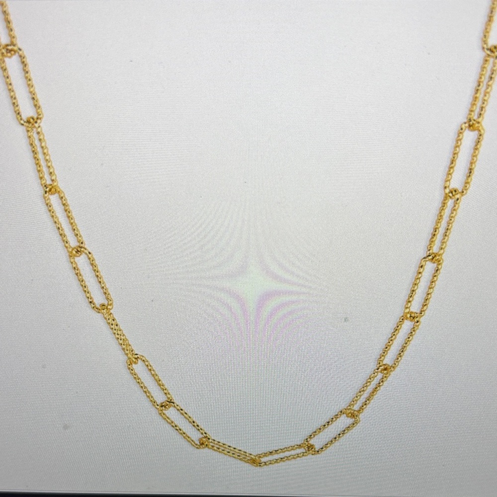 Gorjana Gold Crew Link Necklace with Clasp Detail